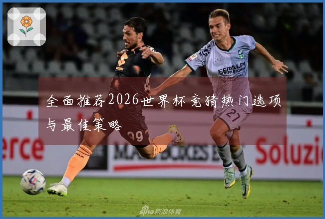 全面推荐2026世界杯竞猜热门选项与最佳策略