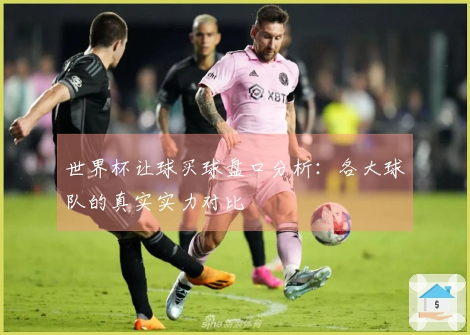 世界杯让球买球盘口分析：各大球队的真实实力对比
