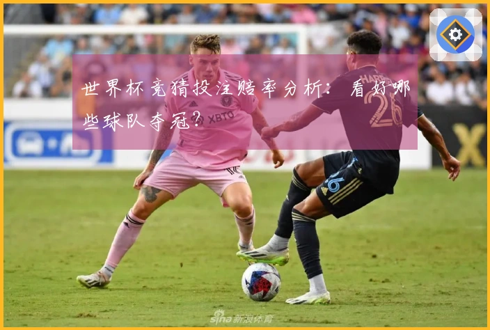 世界杯竞猜投注赔率分析：看好哪些球队夺冠？