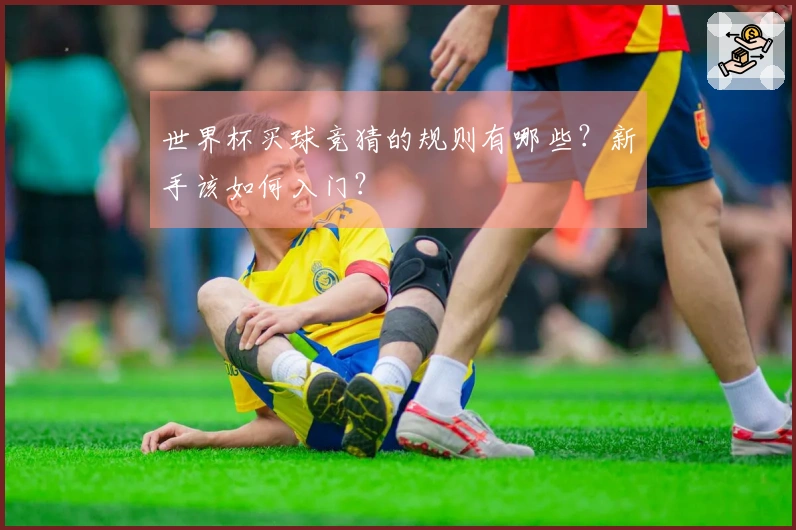 世界杯买球竞猜的规则有哪些？新手该如何入门？
