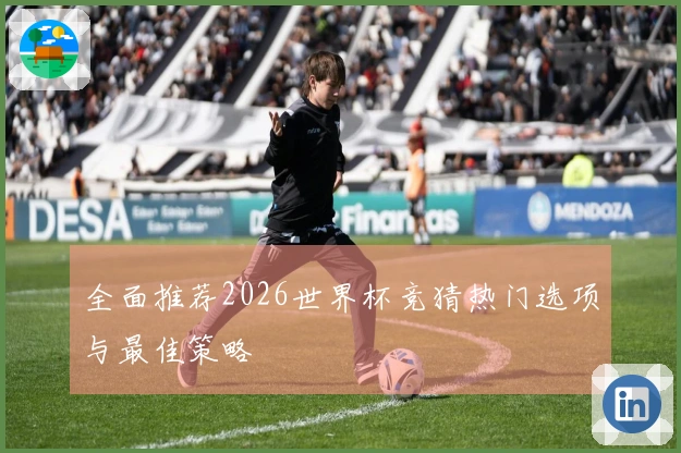 全面推荐2026世界杯竞猜热门选项与最佳策略