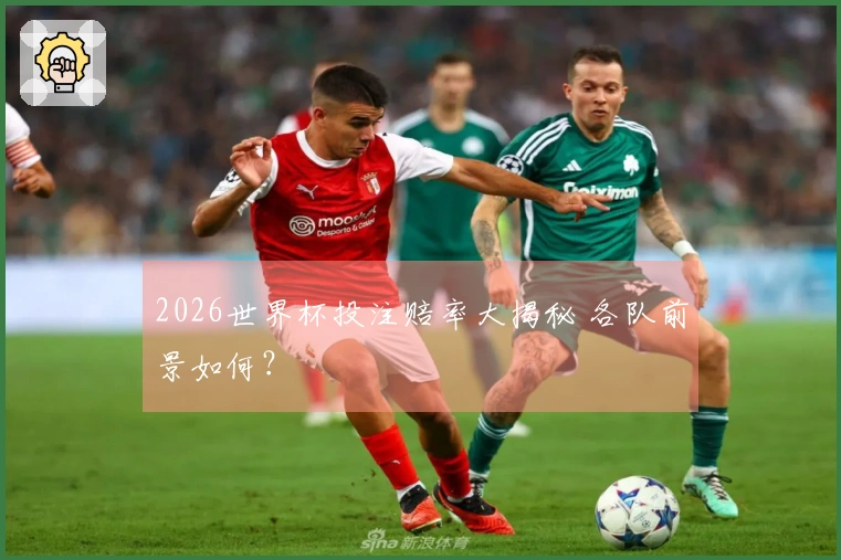 2026世界杯投注赔率大揭秘 各队前景如何？
