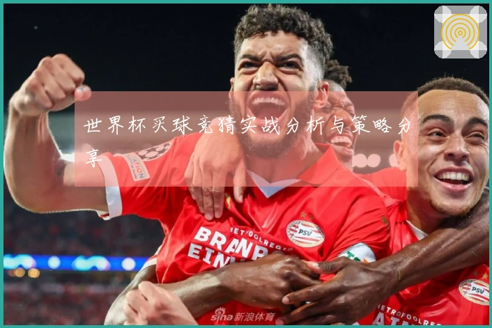 世界杯买球竞猜实战分析与策略分享