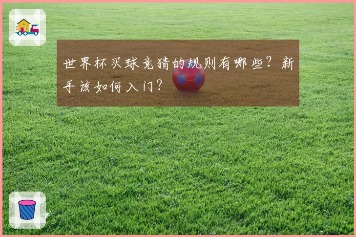 世界杯买球竞猜的规则有哪些？新手该如何入门？